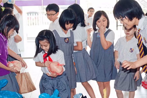 Giới trẻ hào hứng với chương trình "Gạo thật" ảnh 7