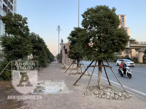 [TRỰC TIẾP] Chào đón những "người hùng" làm nên chiến thắng lịch sử tại SEA Games 30 ảnh 74