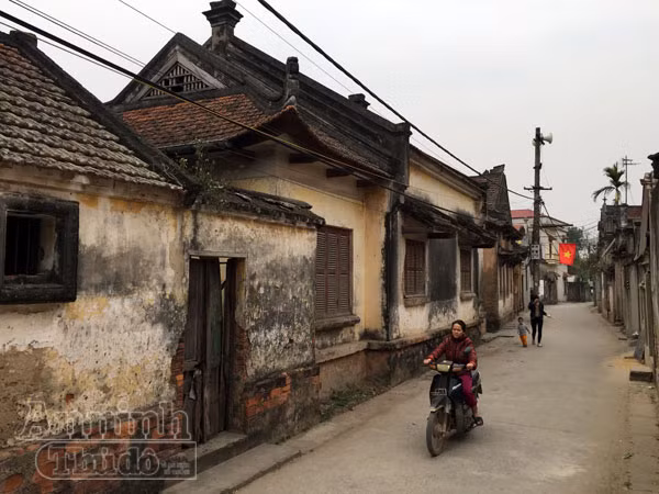 Ngỡ ngàng lạc vào ngôi làng toàn biệt thự 'Tây', gần trăm năm tuổi ảnh 11