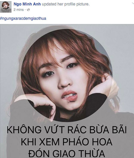 Nghệ sĩ Việt kêu gọi "Ngưng xả rác đêm Giao thừa" ảnh 2
