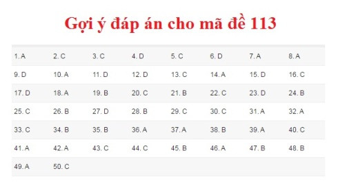Gợi ý đáp án môn Toán kỳ thi THPT Quốc gia 2017 ảnh 8