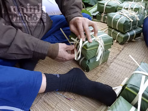 Tâm sự nhói lòng của các cụ già quyết không về nhà đón Tết ảnh 14