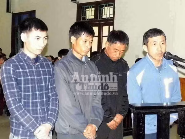 Audio 16-12-2015: Tuyến vận tải Sa Kỳ-Lý Sơn tạm ngừng hoạt động, 80 du khách mắc kẹt ảnh 2