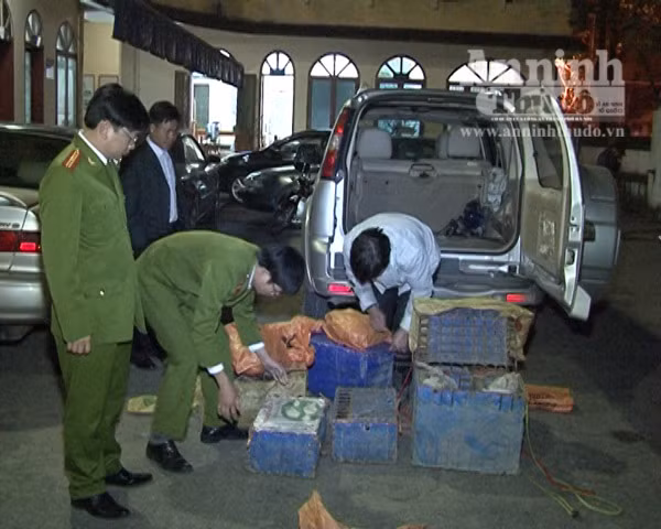 Chặn đầu nậu chuyên cung cấp ĐVHD cho nhà hàng ảnh 2