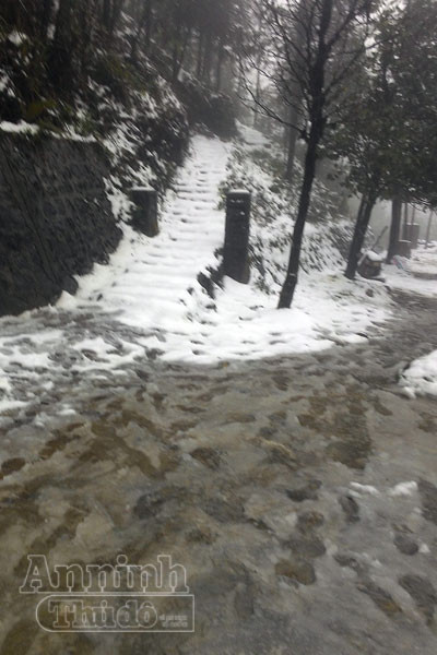 Tuyết rơi trắng xóa Ô Quy Hồ, du khách đổ về Sa Pa ảnh 6