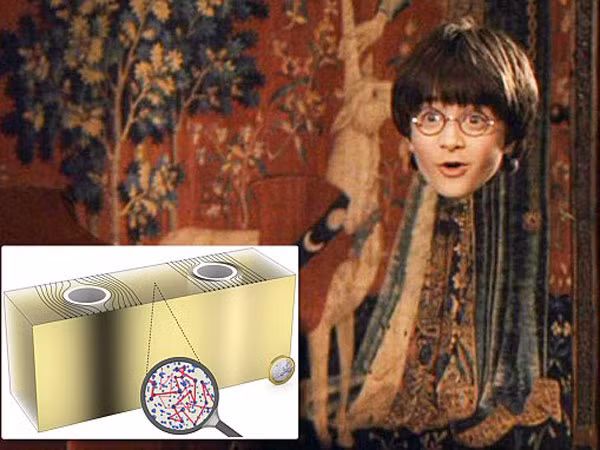 Áo tàng hình của Harry Potter sẽ trở thành giáo cụ trực quan ảnh 1