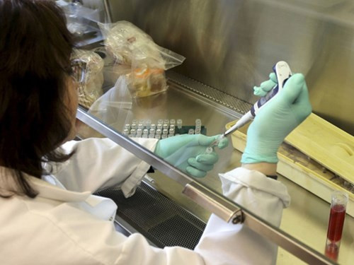 Audio 29-2-2016: Một du khách nước ngoài tử vong tại thác Pongour, tỉnh Lâm Đồng ảnh 3