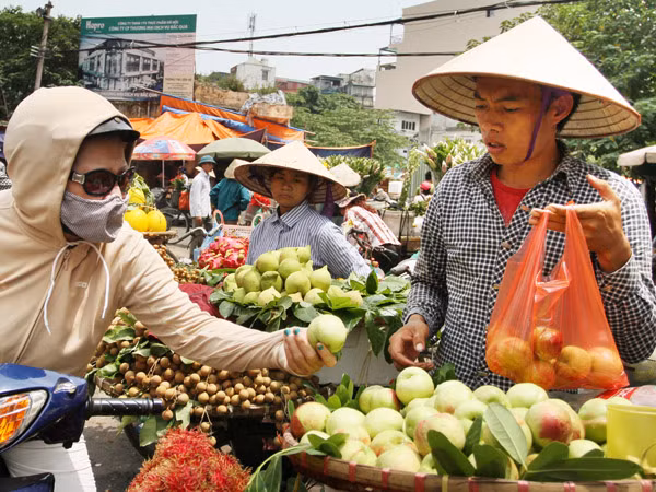 Đào Trung Quốc "gắn mác" đào Sa Pa đổ về Hà Nội ảnh 1