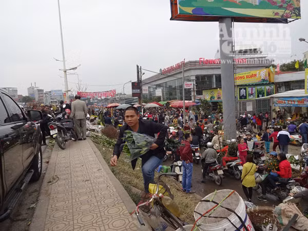 Đổ xô đi mua hoa giá rẻ gây ùn tắc cục bộ trên đường Âu Cơ ảnh 10