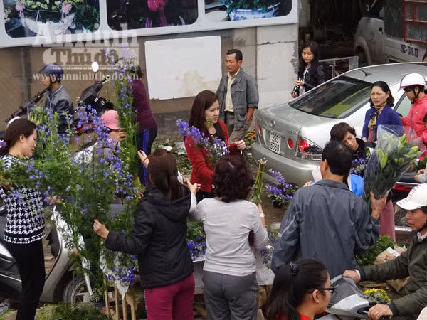 Đổ xô đi mua hoa giá rẻ gây ùn tắc cục bộ trên đường Âu Cơ ảnh 3