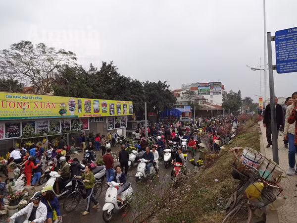 Đổ xô đi mua hoa giá rẻ gây ùn tắc cục bộ trên đường Âu Cơ ảnh 1