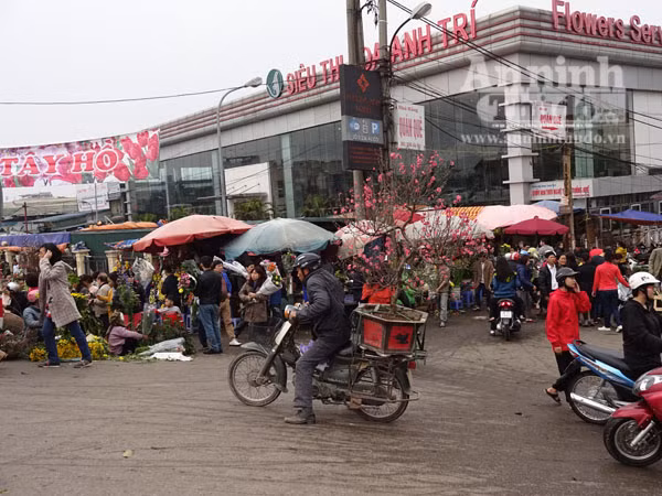 Đổ xô đi mua hoa giá rẻ gây ùn tắc cục bộ trên đường Âu Cơ ảnh 11