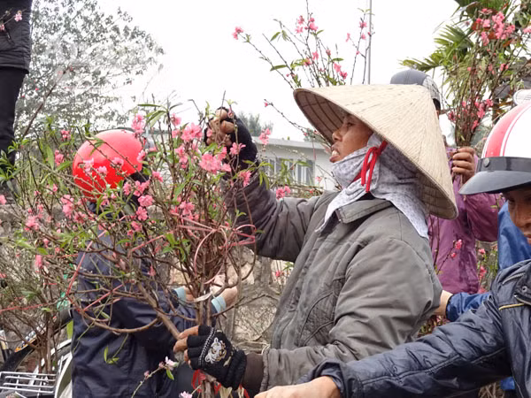 Đổ xô đi mua hoa giá rẻ gây ùn tắc cục bộ trên đường Âu Cơ ảnh 7