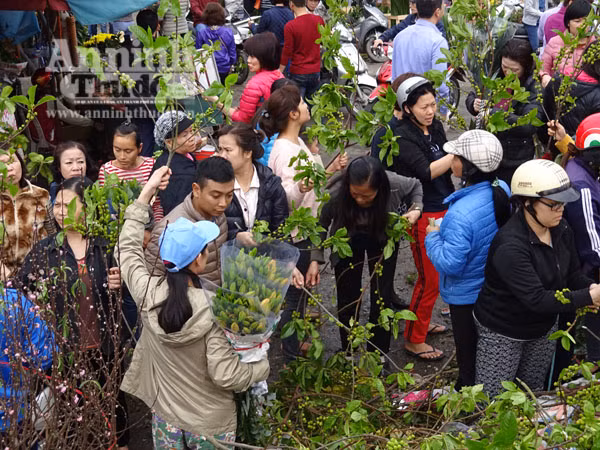 Đổ xô đi mua hoa giá rẻ gây ùn tắc cục bộ trên đường Âu Cơ ảnh 5