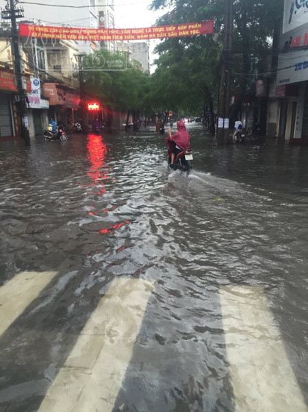 Mưa lớn kéo dài, Hải Phòng chìm trong "biển nước" ảnh 2