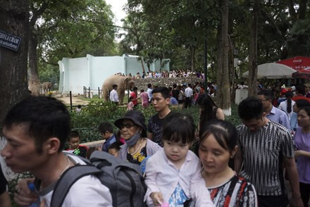 Toàn cảnh các điểm du lịch trên rừng dưới biển "thất thủ" dịp này ảnh 15 Toàn cảnh các điểm du lịch trên rừng dưới biển "thất thủ" dịp này ảnh 15