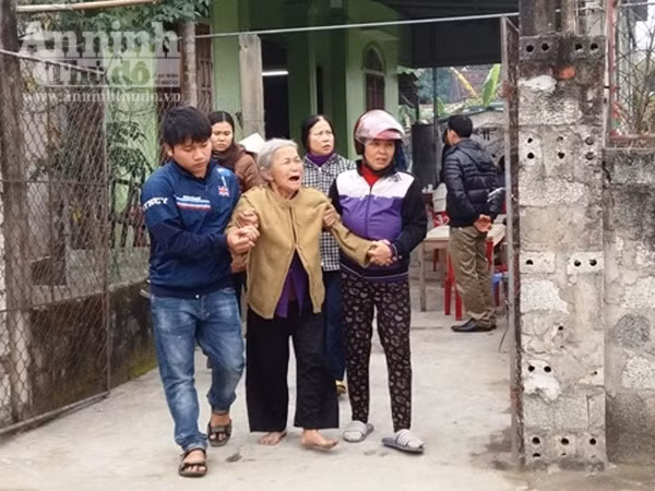 Đi cày, người đàn ông bị trâu nhà húc chết ảnh 1