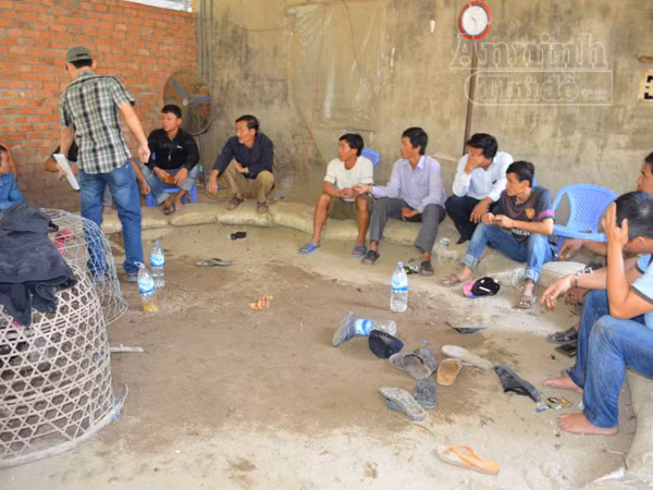 Triệt phá trường gà lớn núp bóng quán cà phê ảnh 2