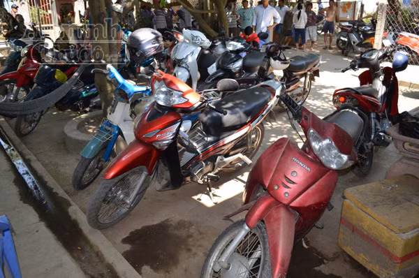 Triệt phá trường gà lớn núp bóng quán cà phê ảnh 5