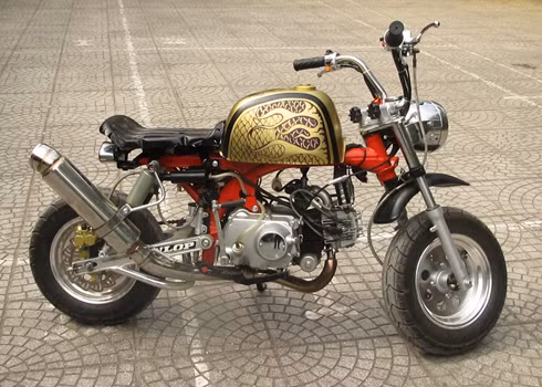 Năm Bính Thân, phượt bằng xe máy 'khỉ' ảnh 2