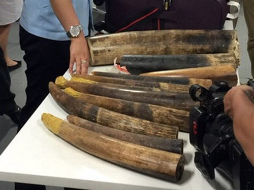 Audio 13-8-2015: Lại vỡ đường ống nước sông Đà và thảm sát kinh hoàng tại Yên Bái ảnh 3