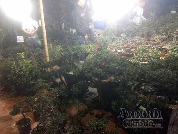 Biển người chen chân 'bán rủi, mua may' ở chợ Viềng lúc nửa đêm ảnh 5