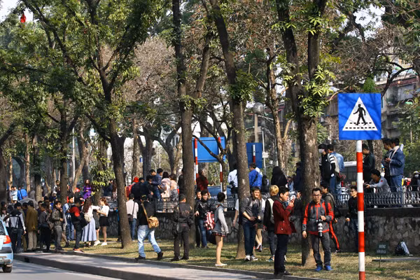 'Hot girl' Hà Nội đổ dồn về 'studio' Kim Mã, mùa cây thay lá ảnh 2