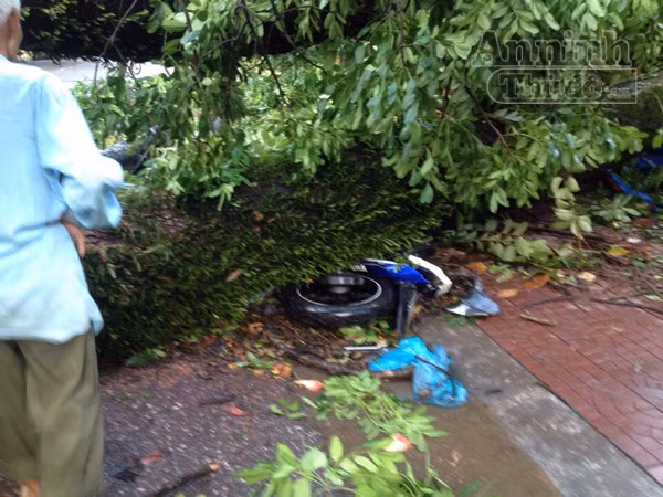 Mưa lớn kéo dài, Hải Phòng chìm trong "biển nước" ảnh 14