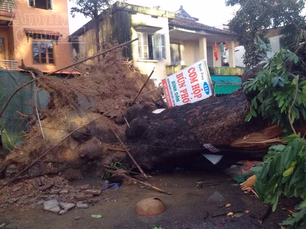 Mưa lớn kéo dài, Hải Phòng chìm trong "biển nước" ảnh 13