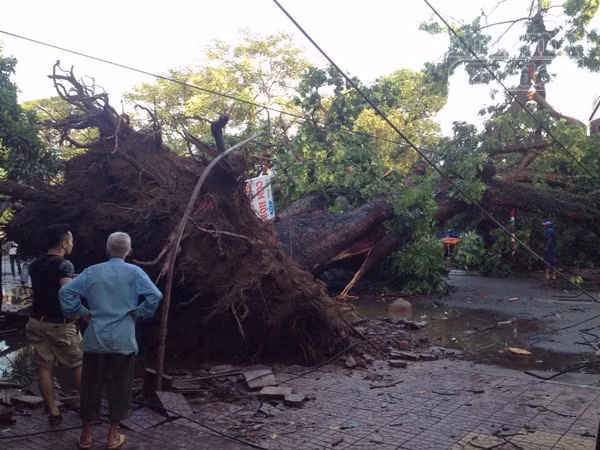 Mưa lớn kéo dài, Hải Phòng chìm trong "biển nước" ảnh 11