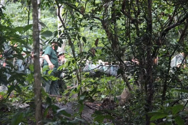 rơi máy bay, máy bay rơi, máy bay trực thăng, máy bay quân sự