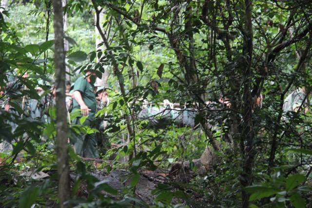 rơi máy bay, máy bay rơi, máy bay trực thăng, máy bay quân sự