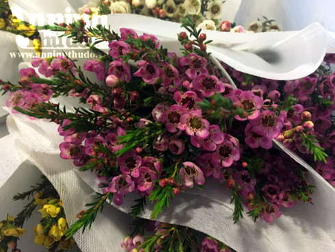 Trắng đêm ở chợ hoa Quảng Bá ngày cận Tết ảnh 4