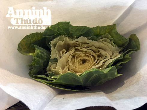 Trắng đêm ở chợ hoa Quảng Bá ngày cận Tết ảnh 6