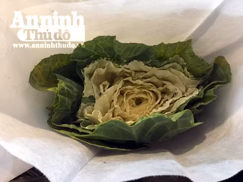 Trắng đêm ở chợ hoa Quảng Bá ngày cận Tết ảnh 6