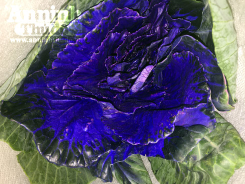 Trắng đêm ở chợ hoa Quảng Bá ngày cận Tết ảnh 7