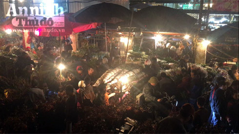 Trắng đêm ở chợ hoa Quảng Bá ngày cận Tết ảnh 2