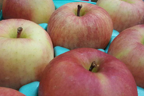 Vì sao trái cây nội rẻ bèo, dân vẫn xếp hàng đi mua quả ngoại? ảnh 2