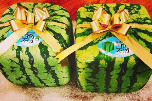 Vì sao trái cây nội rẻ bèo, dân vẫn xếp hàng đi mua quả ngoại? ảnh 1