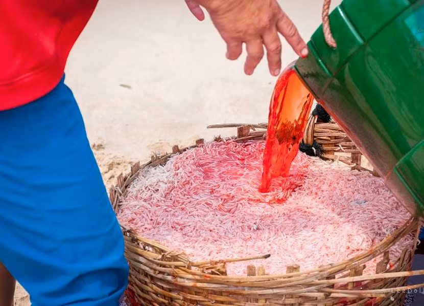 Audio 25-3-2016: Gia đình nữ sinh bị cưa chân đòi bồi thường 1 tỷ đồng ảnh 3