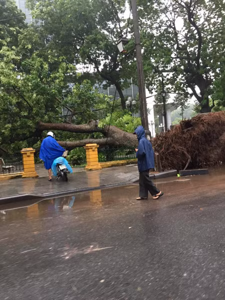 Nước ào vào nhà giữa đêm khuya, người dân Hà Nội nháo nhào chạy đồ đạc ảnh 14