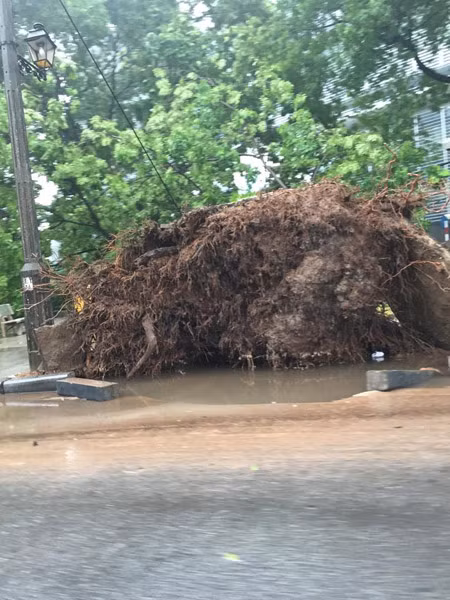 Nước ào vào nhà giữa đêm khuya, người dân Hà Nội nháo nhào chạy đồ đạc ảnh 15