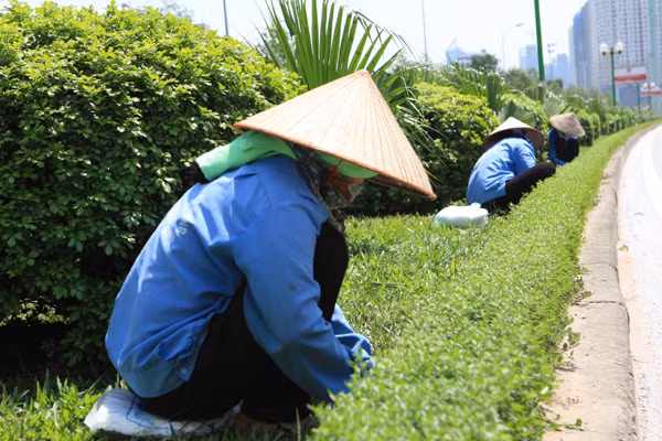 Những phụ nữ mưu sinh dưới nắng nóng đỉnh điểm 39 độ C ảnh 2