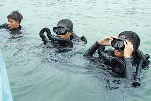 Đã tìm thấy đuôi máy bay tiêm kích Su-22 dưới đáy biển ảnh 1