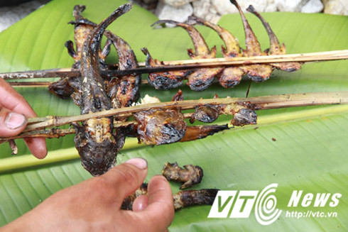 Hành trình săn lùng loài "cá sâm" kỳ lạ ở lưng chừng trời Hoàng Liên Sơn ảnh 4