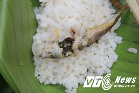 Hành trình săn lùng loài "cá sâm" kỳ lạ ở lưng chừng trời Hoàng Liên Sơn ảnh 5