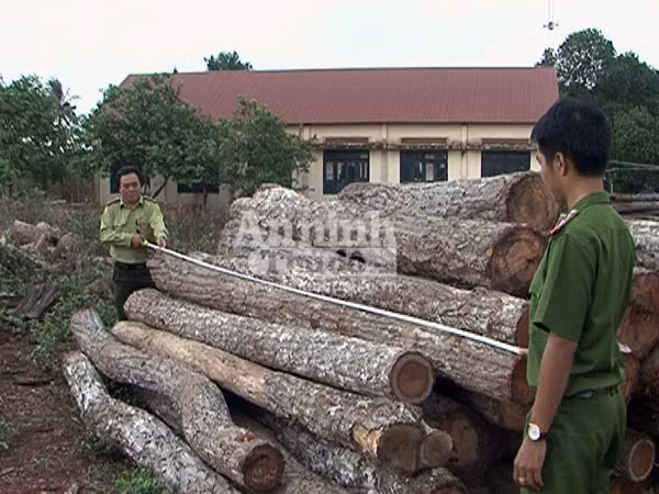 Bắt quả tang xe tải chở hơn 11m3 gỗ lậu ảnh 1
