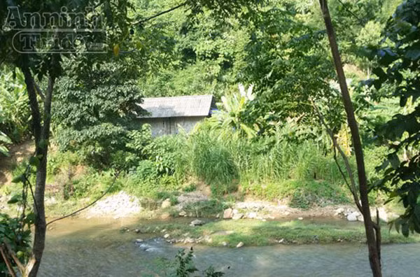 Vụ sát hại 4 người ở Yên Bái: Mẹ của nghi phạm bịt kín mặt tới khâm liệm cho nạn nhân ảnh 3