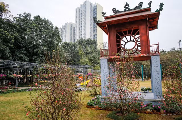 Có gì cuốn hút ở lễ hội hoa Xuân lớn nhất miền Bắc? ảnh 4