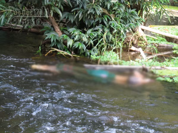 Vụ sát hại 4 người chấn động ở Nghệ An: Ra tay tàn độc vì chuyện cỏn con ảnh 2